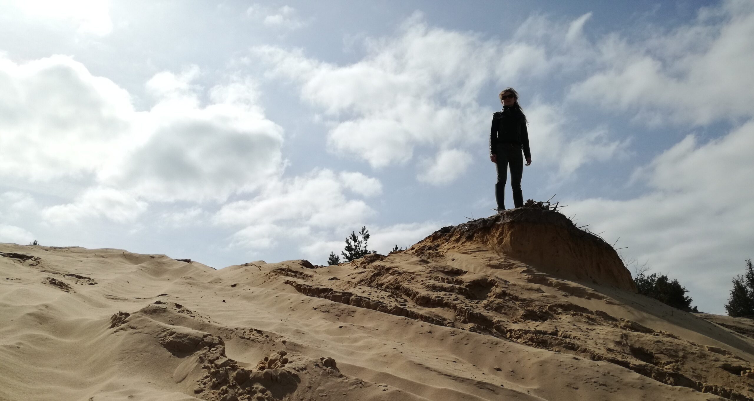 Read more about the article Dlaczego Wilczyca Stepowa?